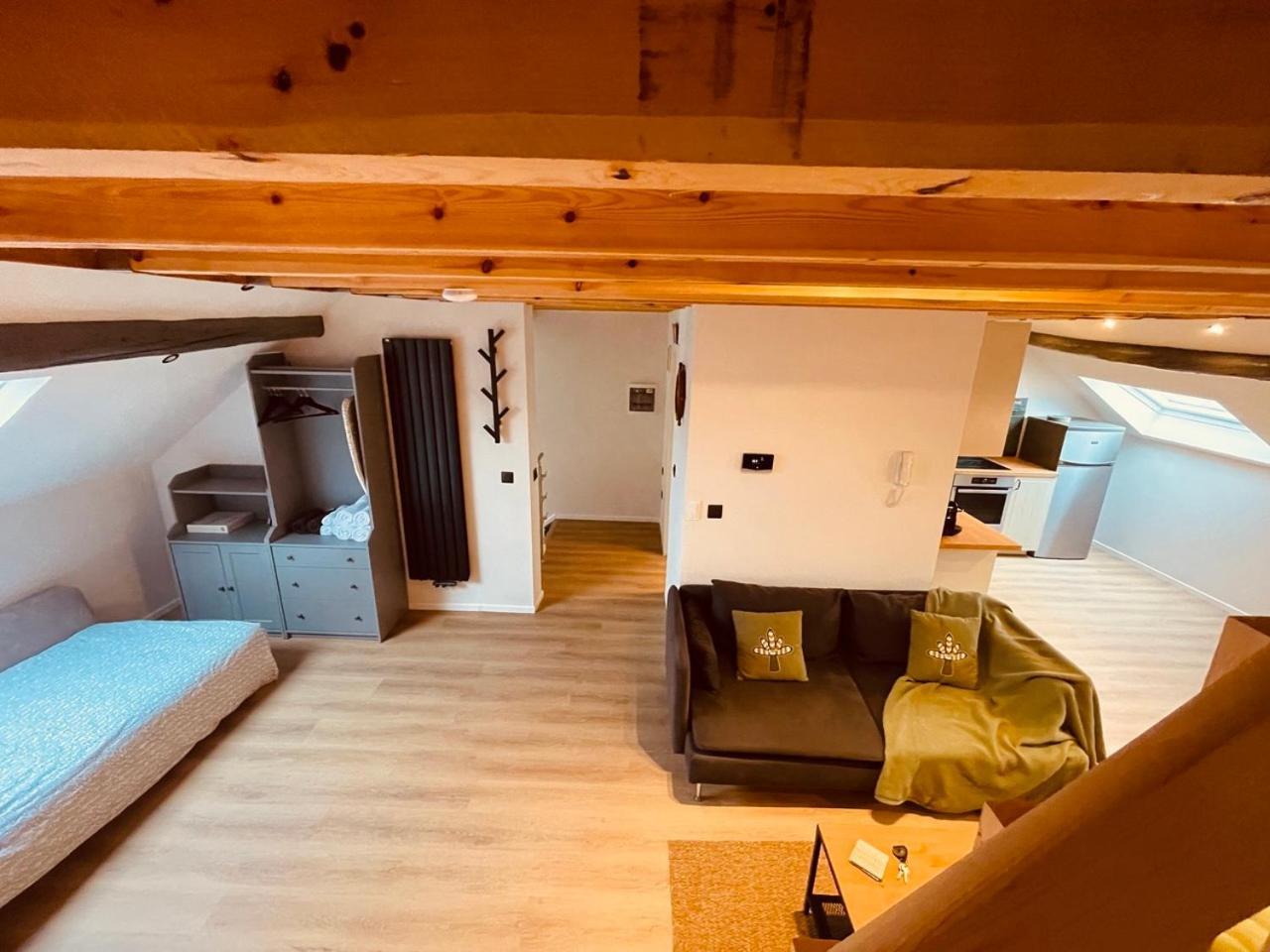 Appartamento Camus Flats Bruxelles Esterno foto